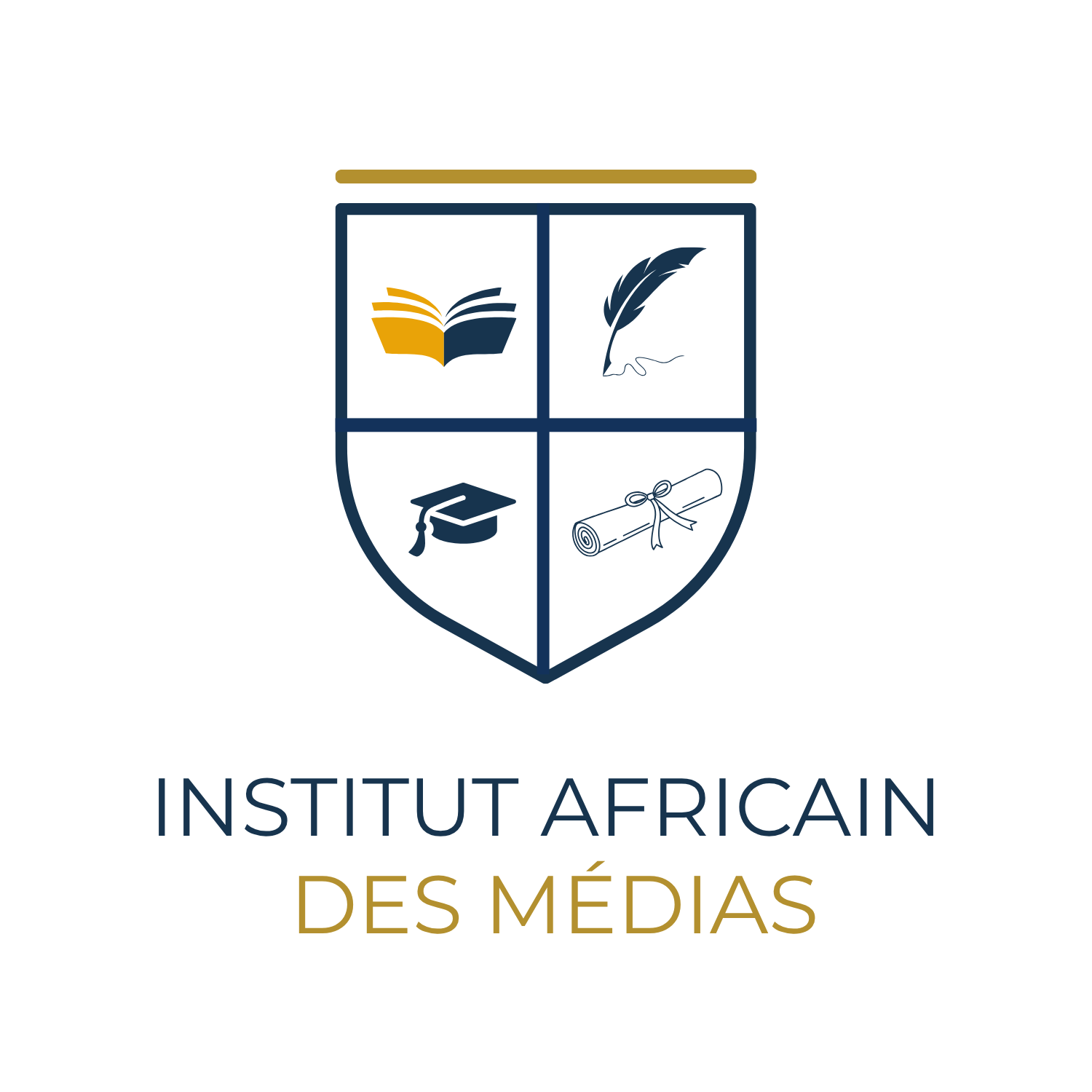 Institut Africain des Médias